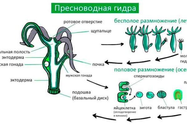 Что такое кракен только через тор