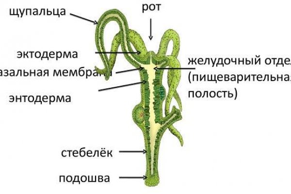 Кракен ссылка на тор официальная онион