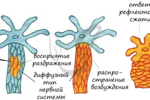 Kraken 19 at сайт