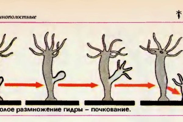 Кракен официальный сайт ссылка